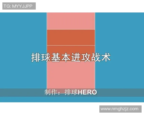 深圳排球队进攻战术解析与深度剖析排球竞技的魅力与挑战