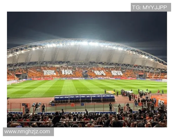 探索业务球足球的魅力与发展潜力助力体育产业新机遇